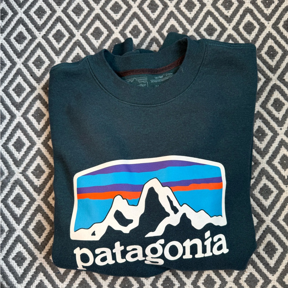 Patagonia Crewneck Sweater